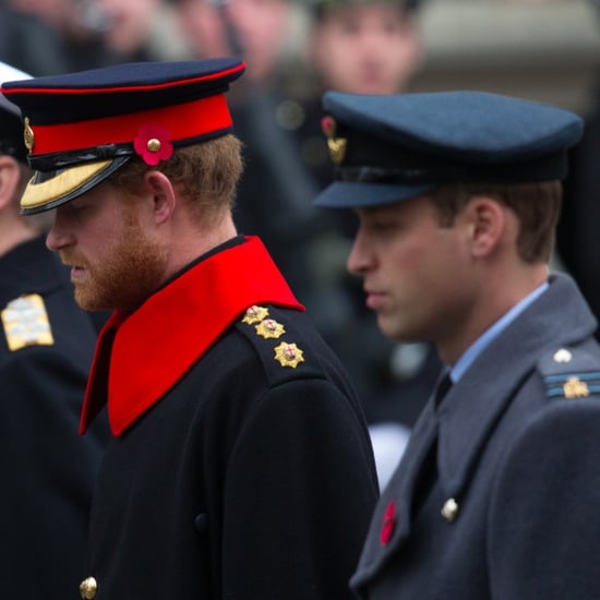 Prince Harry and Prince William on Remembrance Day 2015