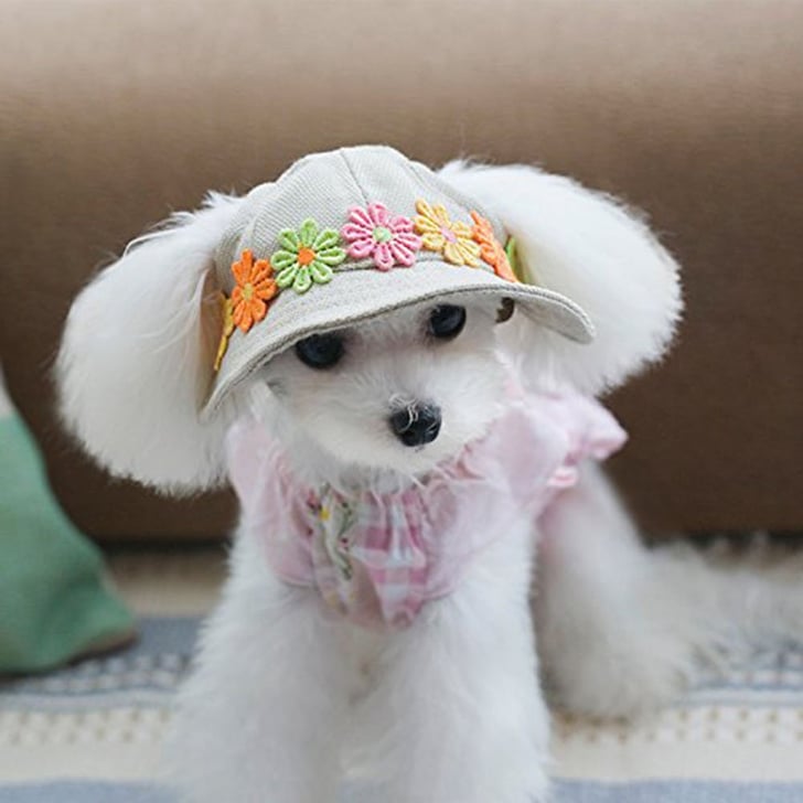 Small Pet Hat Sun Visor Hot Dog These 50 Clever Products For