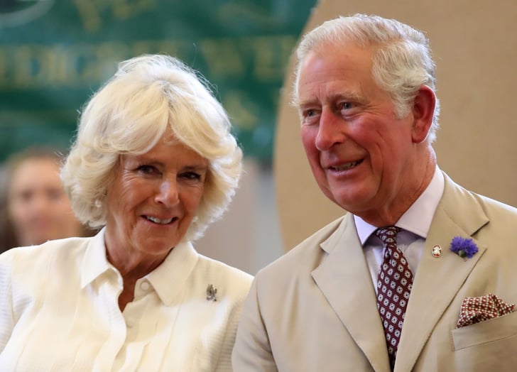 Prince Charles and Camilla | Does the Royal Family Watch TV? | POPSUGAR