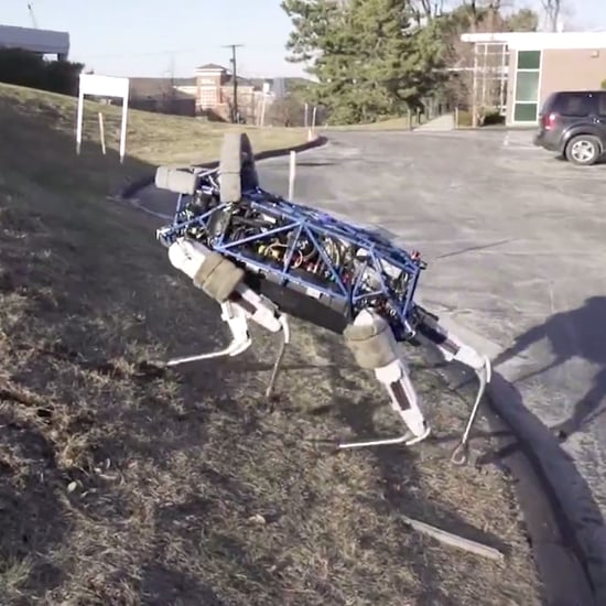Spot Boston Dynamics Robot