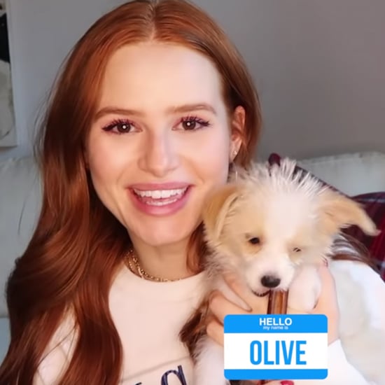 Meet Madelaine Petsch's New Puppy, Olive