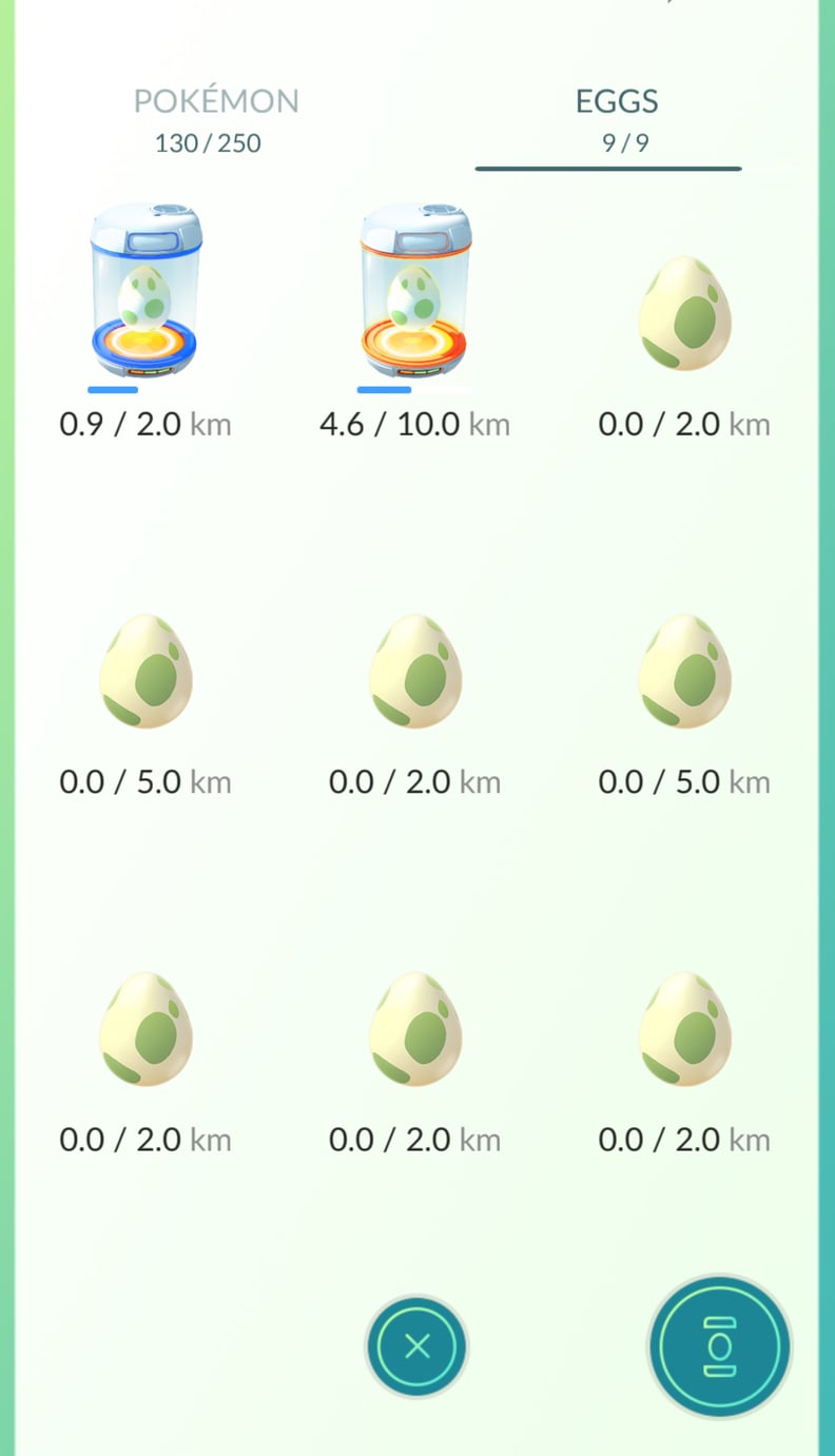 Remember to put your egg in an incubator.