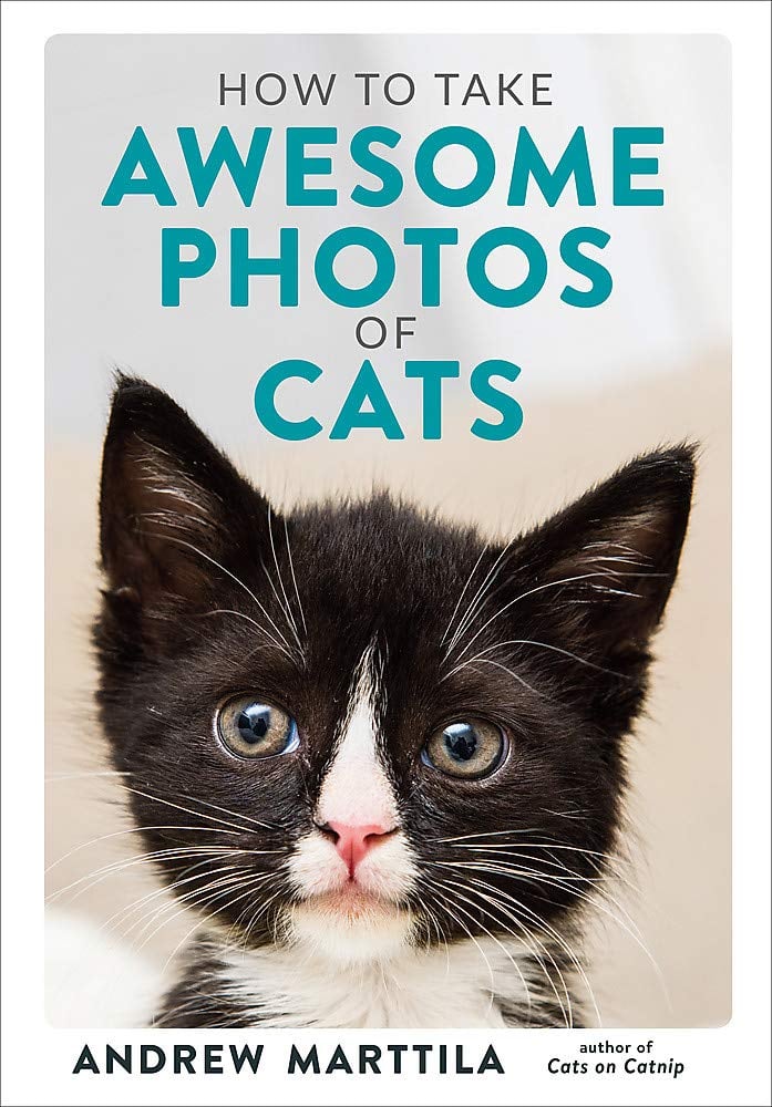 How To Take Awesome Photos Of Cats Book Excerpts Popsugar Pets
