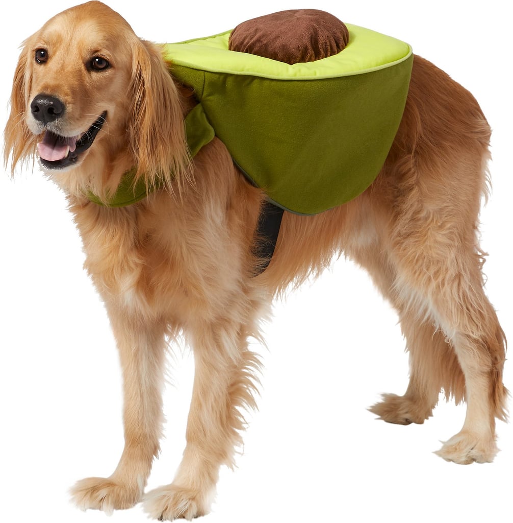 Frisco Avocado Dog & Cat Costume