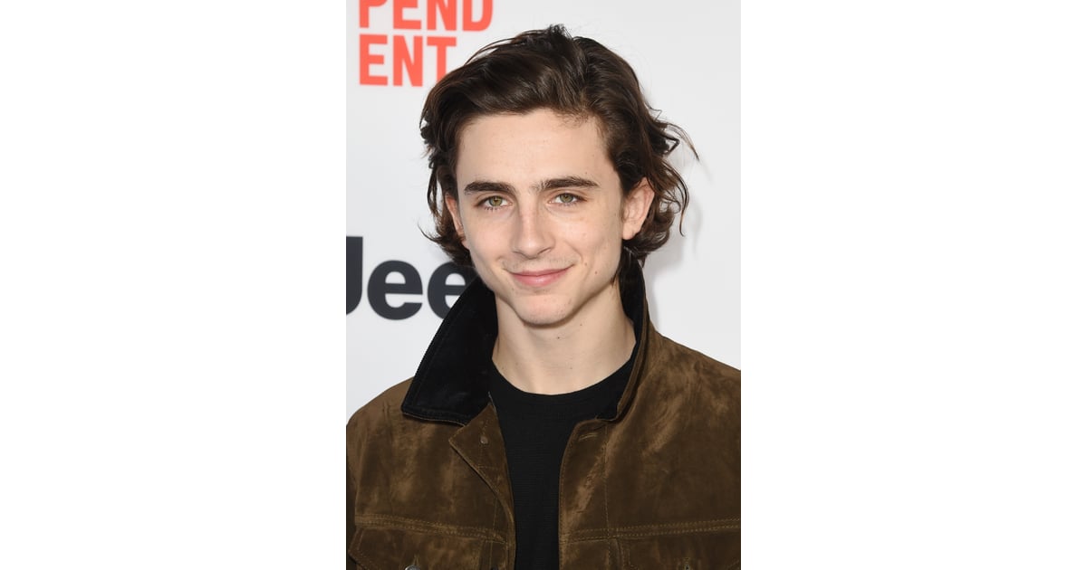 timothée chalamet funko pop