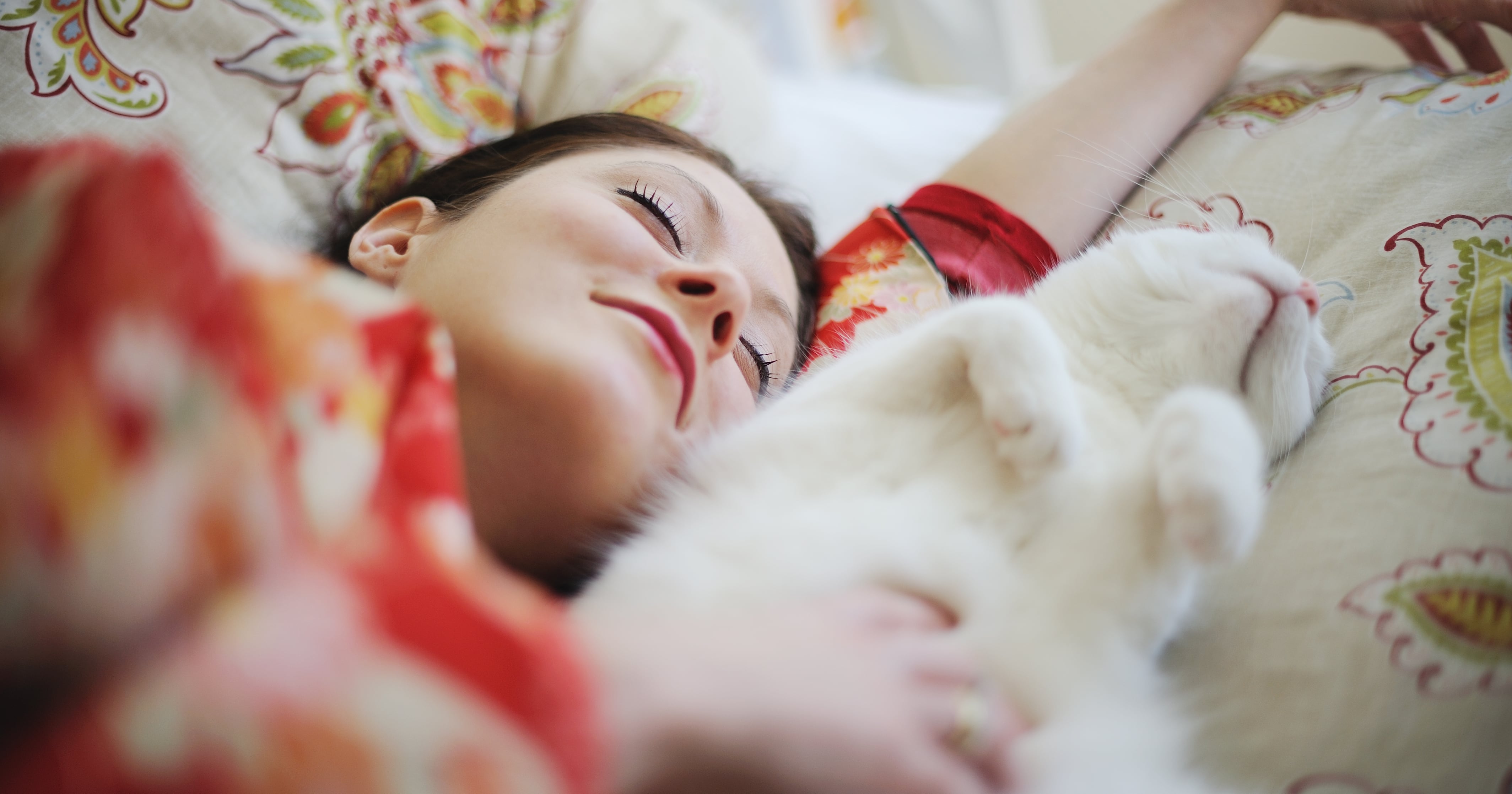 Why Does My Cat Sleep on Me? POPSUGAR Pets