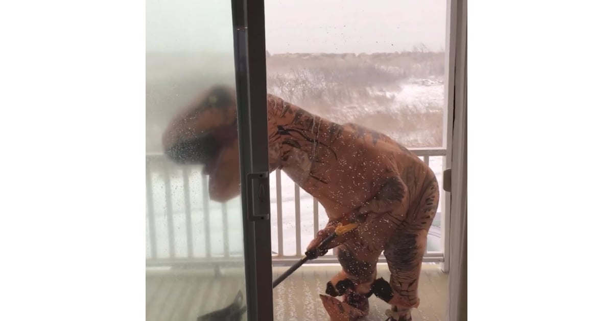 Funny Video Of T Rex Shoveling Snow Popsugar Tech