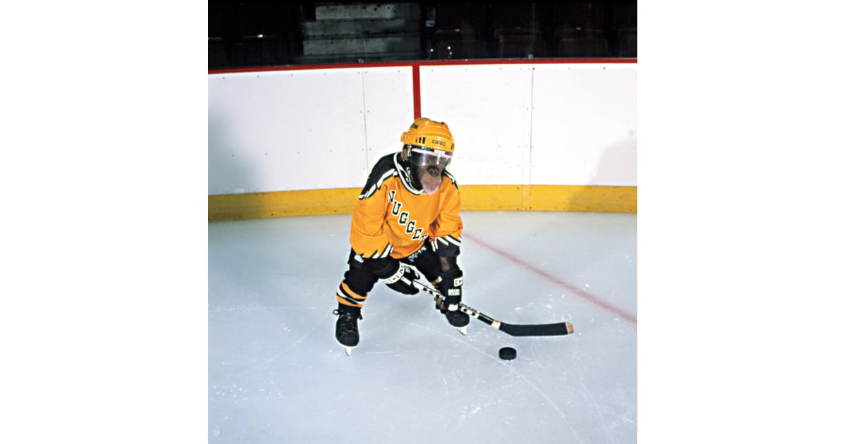 MVP Most Valuable Primate Free Family Movies For Kids Streaming on