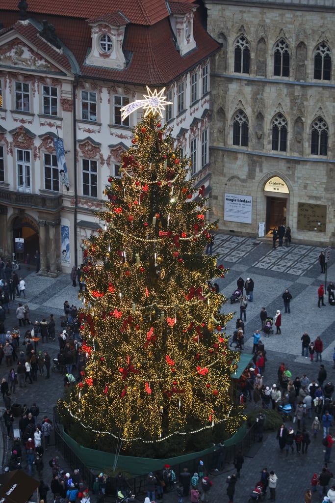 People snapped pictures of the Christmas tree in Prague.