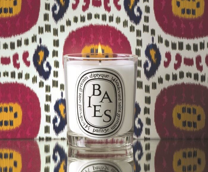 For a Luxurious Feeling: Diptyque Baies Candle