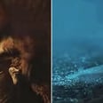 Game of Thrones: Why the Feather in the Season 8 Teaser Is So Important