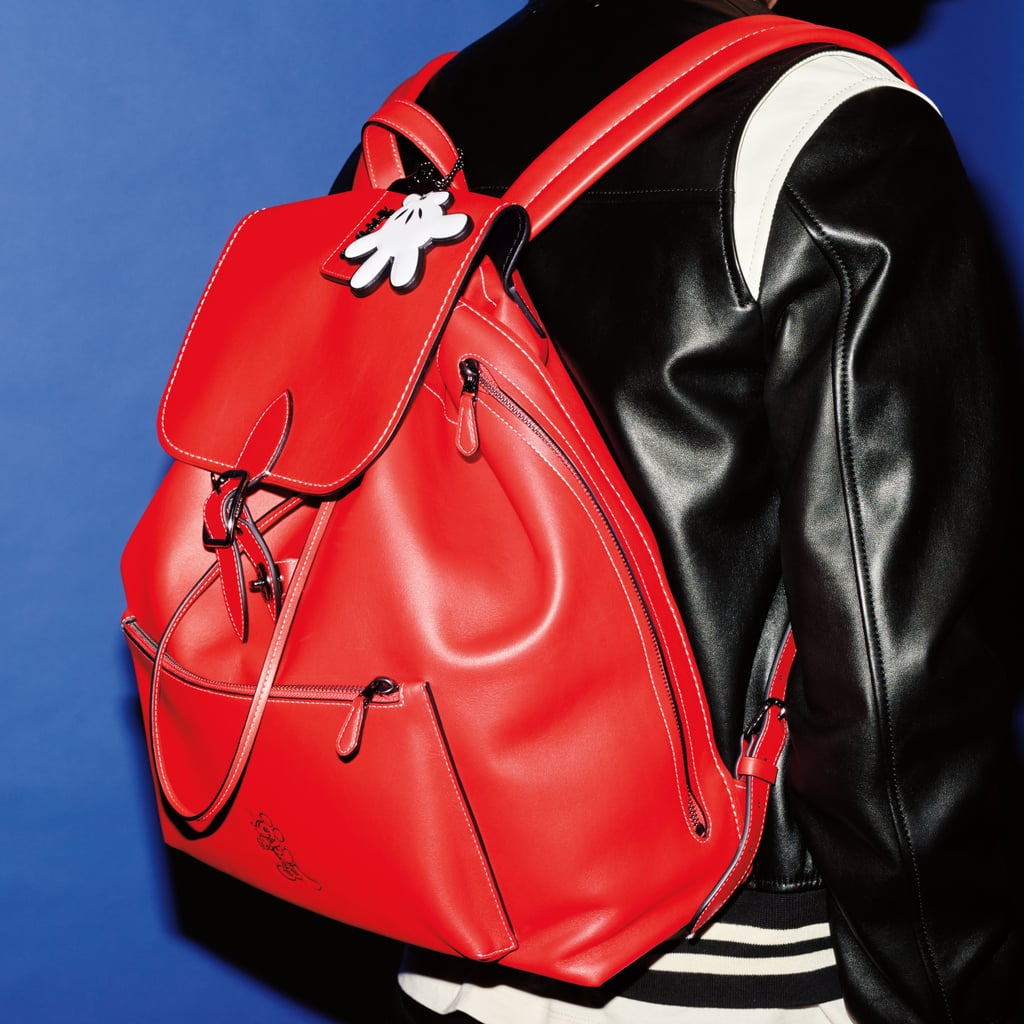 Coach x Disney Collection