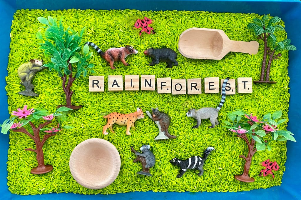 Ella Roos Academy Rainforest Animals and Plants Sensory Bin