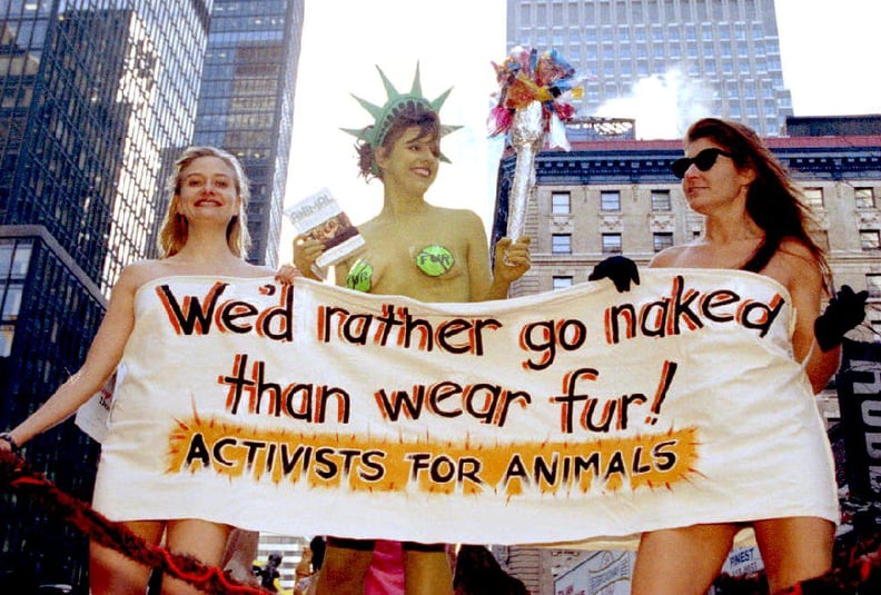 PETA in US, 1993