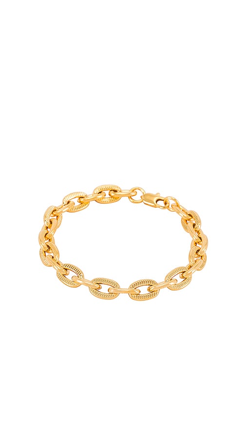 Aureum Alessandra Cable Chain Bracelet in Gold