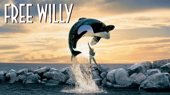 Free Willy