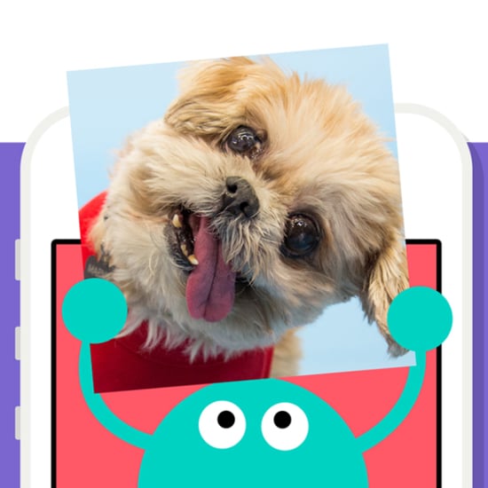 New Vine Kids Video App