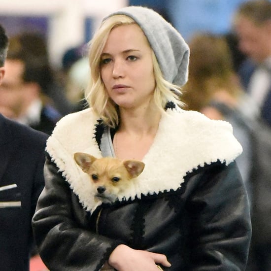 Jennifer Lawrence With Her Dog at JFK Airport