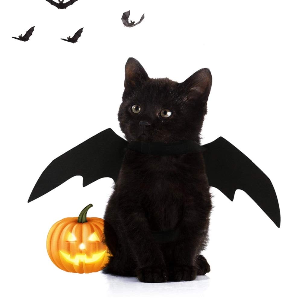 Best Cat Costumes For Halloween 2019 Popsugar Pets