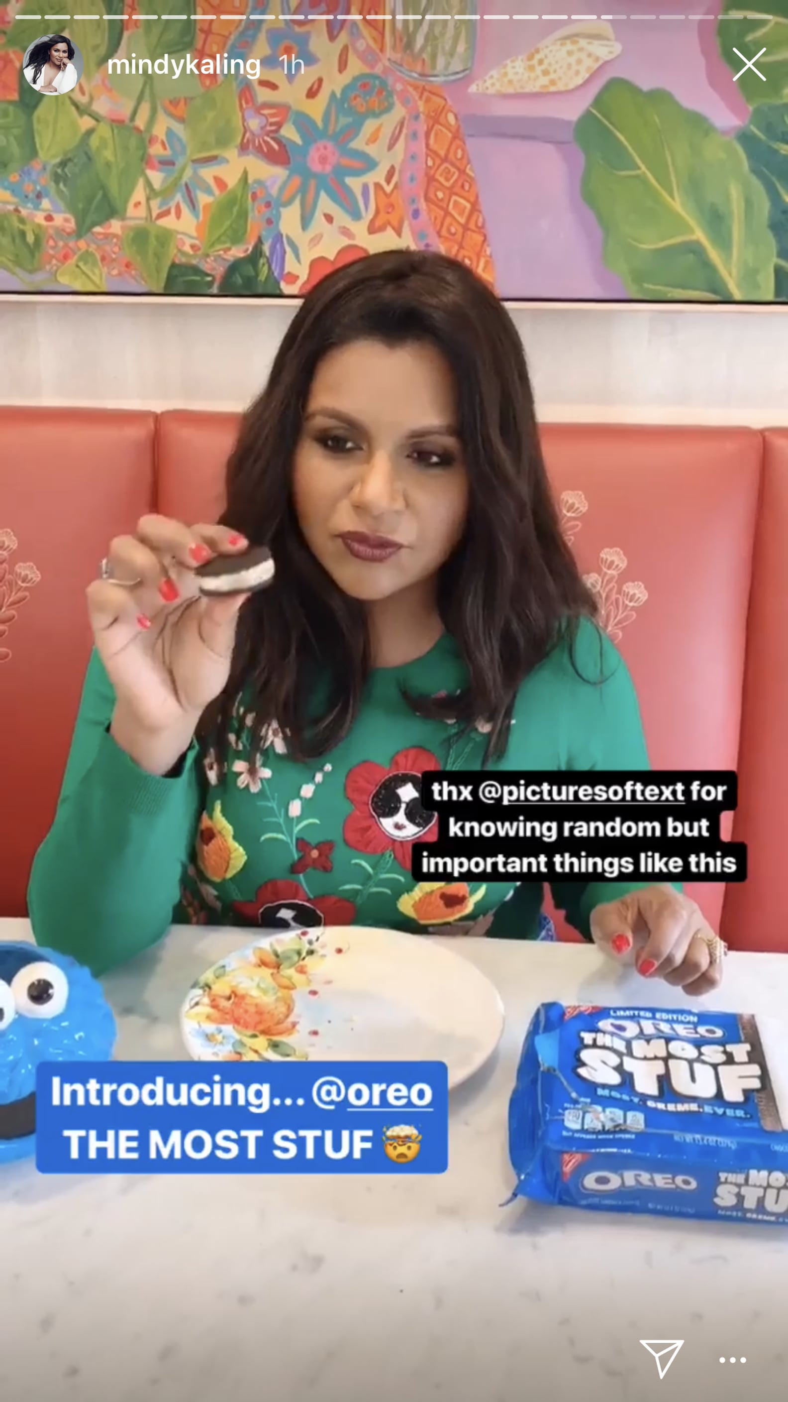 Mindy Kaling Ranks Oreo Flavors on Instagram PS Food