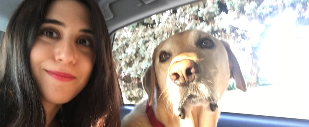 Lessons My Dog Has Taught Me About Happiness