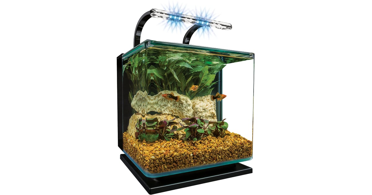 Marineland Contour Glass Aquarium Kit Thee 20 Best Fish Tanks for