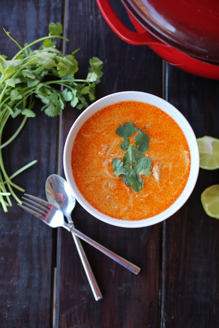 Thai Chicken and Noodle Soup