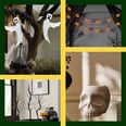 The Best Halloween Decor For the Spookiest Home on the Block — Starting at $5