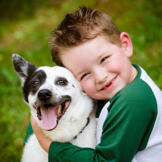 Video of Boy Reunited With His Missing Dog