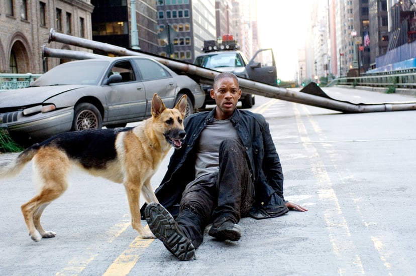 I Am Legend Scene with Will Smith and Dog
