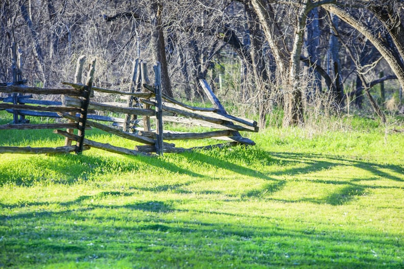 Cedar Hill Park