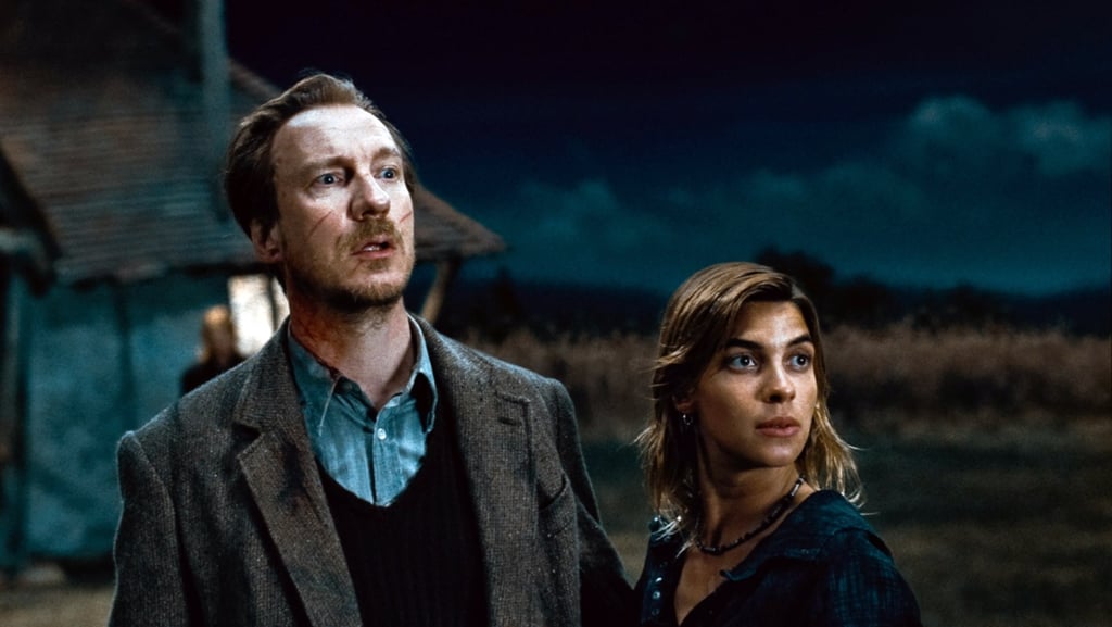 Lupin and Tonks, Harry Potter