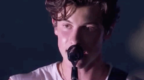 Shawn Mendes at the 2018 MTV VMAs