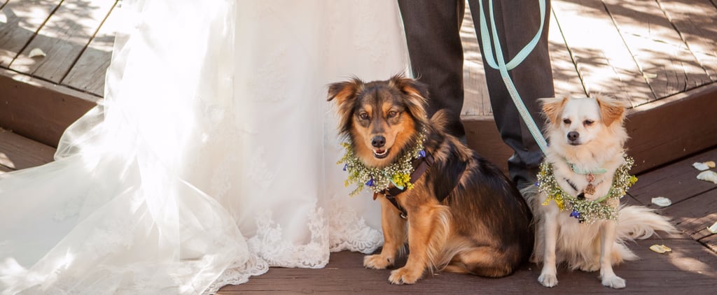 Wedding Favors For Dog-Lovers