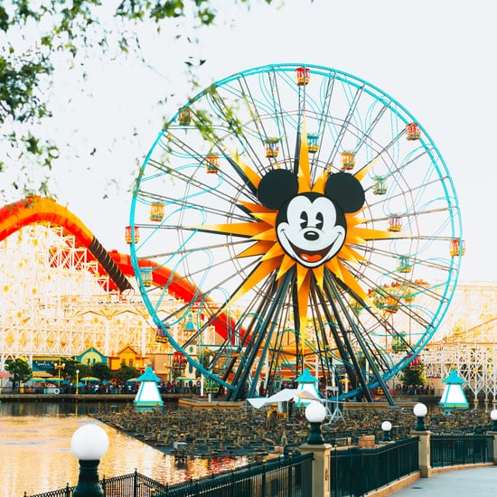 What Day of the Week Is Disneyland Least Crowded in 2020?