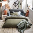 9 Comfortable Sleeper Sofas to Shop on a Budget
