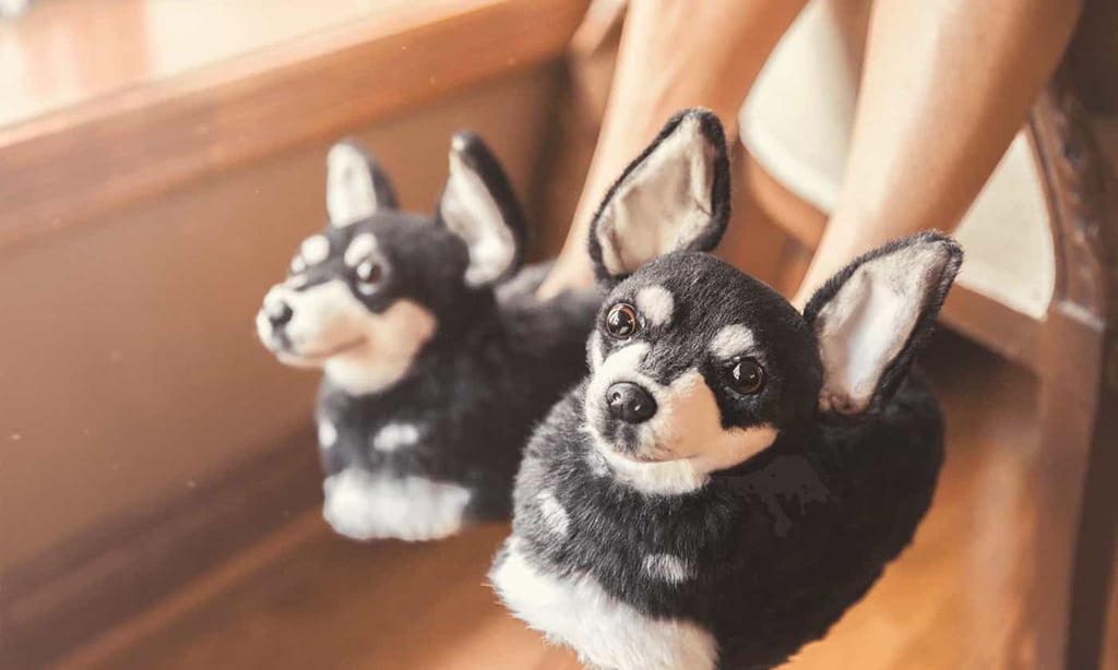 personalised dog slippers