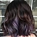 Chocolate Lilac Hair Color Ideas