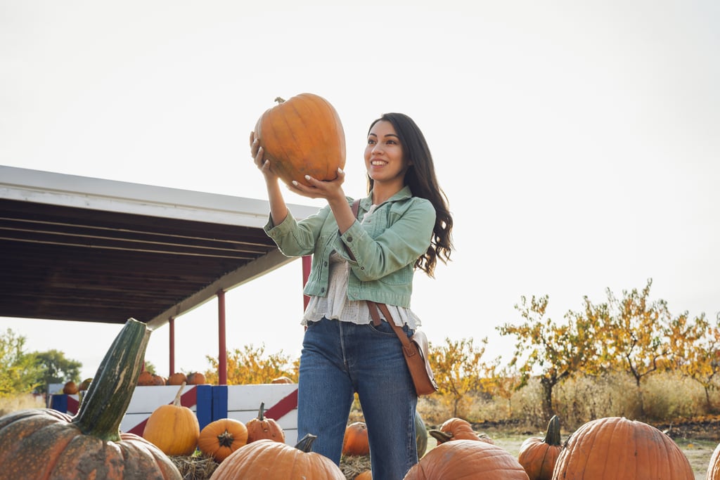 Pumpkin Picking at Priory Farm