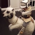 Why This Little Boy's Luke Skywalker Costume Is Unlike Any You've Seen Before