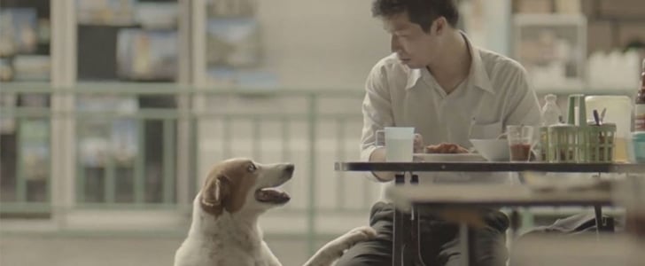 Heartwarming Thai Commercial
