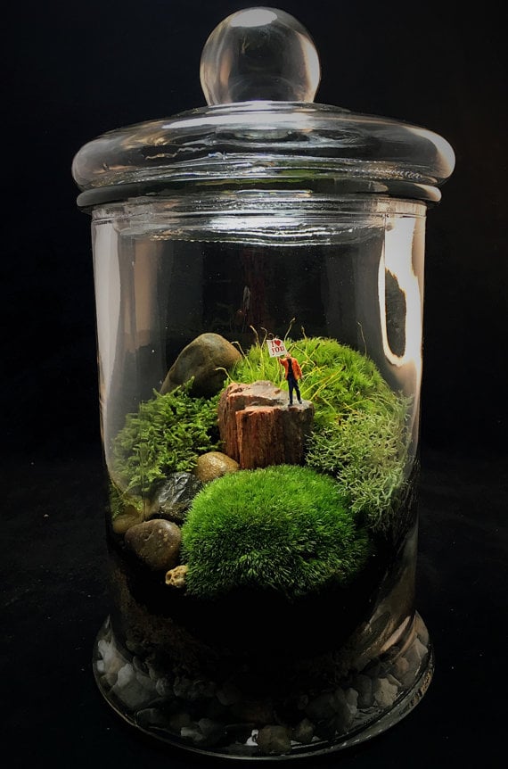 "I Love You" Moss Terrarium