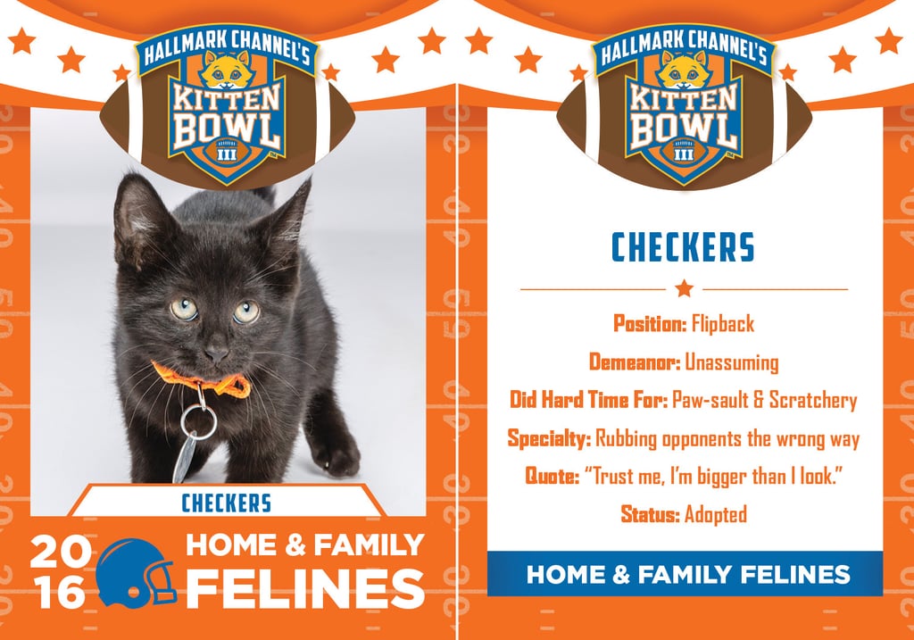 Kitten Bowl 2016