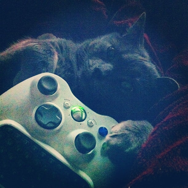 "Like a boss." 
Source: Instagram user thisdarlingdeer