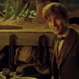 Eddie Redmayne Is the Wizarding World's New Hero in this Fantastic Beasts and Where to Find Them Featurette