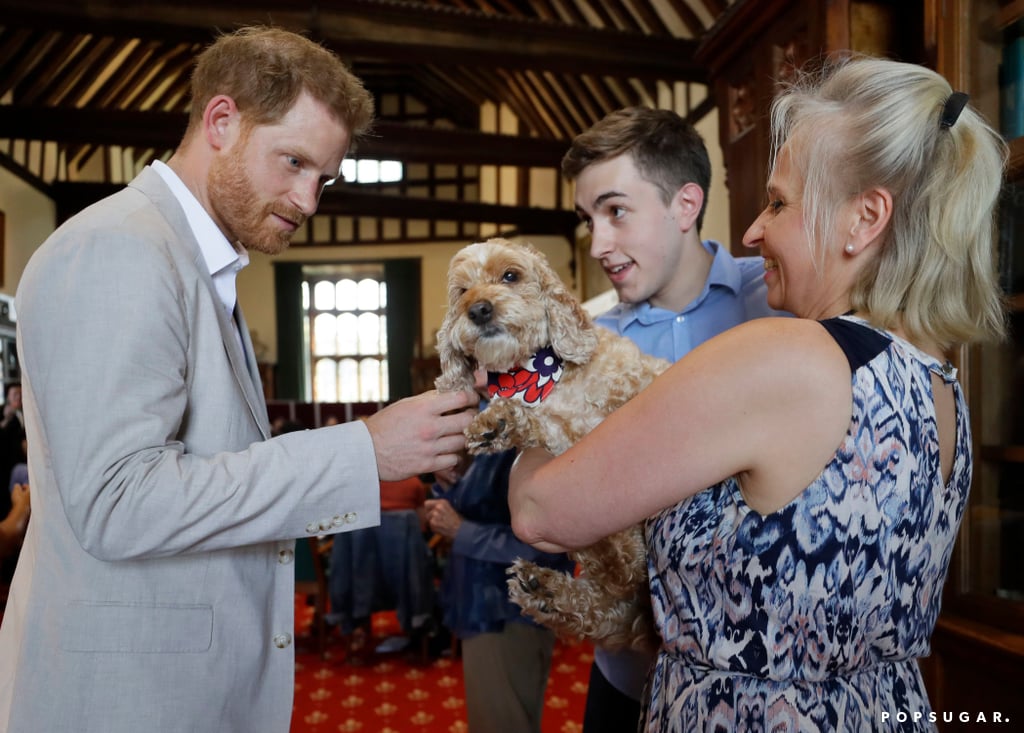 Prince Harry Meeting With Dr. Jane Goodall July 2019