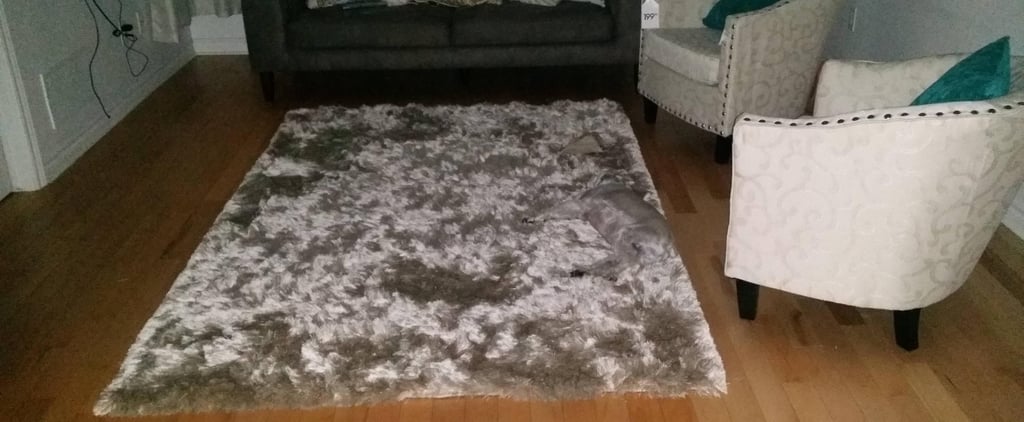 Dog on Reddit Blends In With Rug