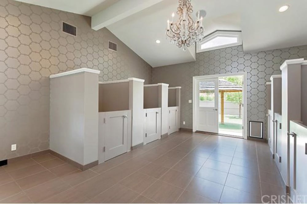 Denise Richards's dog hotel
