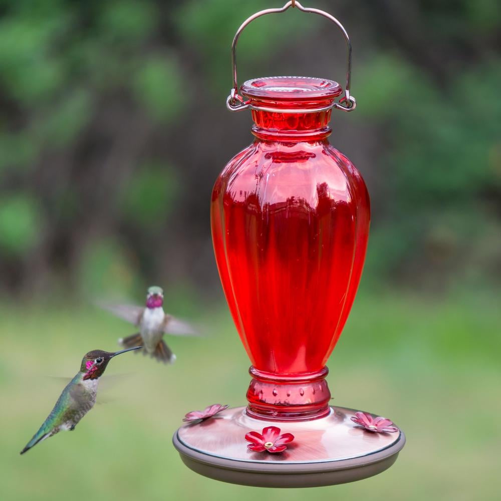 Perky Pet Red Daisy Vase Decorative Glass Hummingbird Feeder