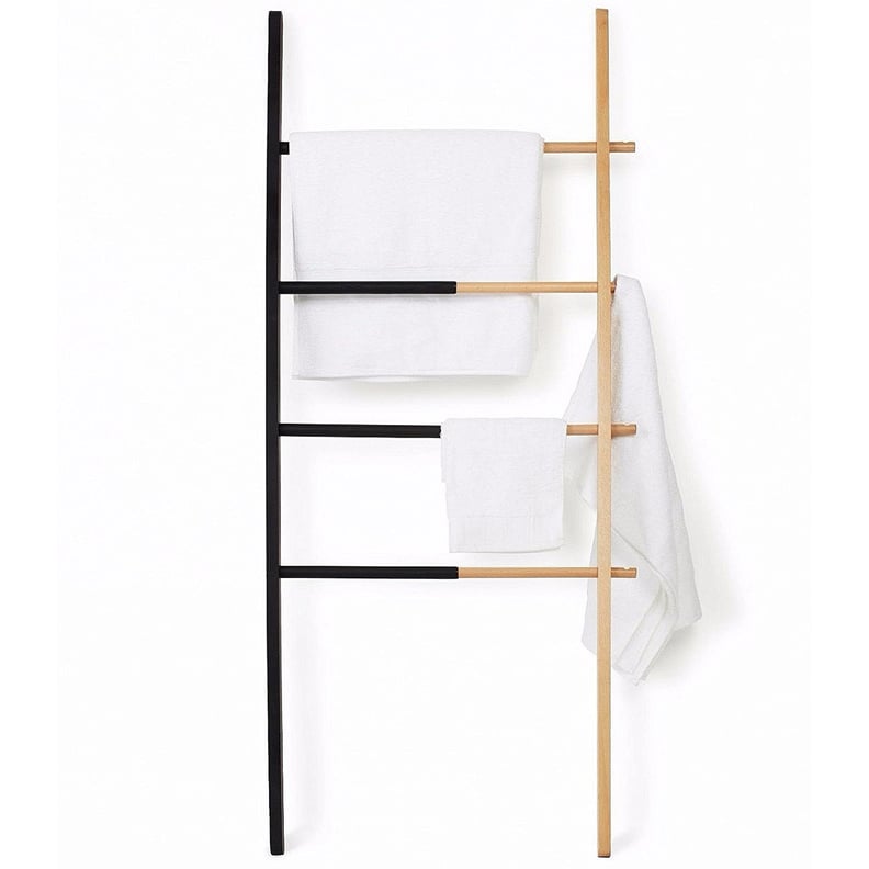 Storage Ladder